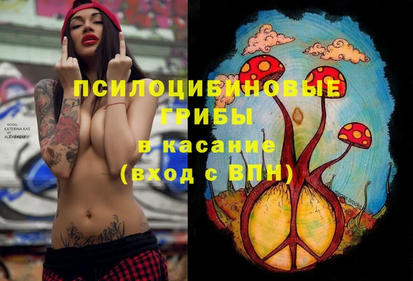 герыч Инта