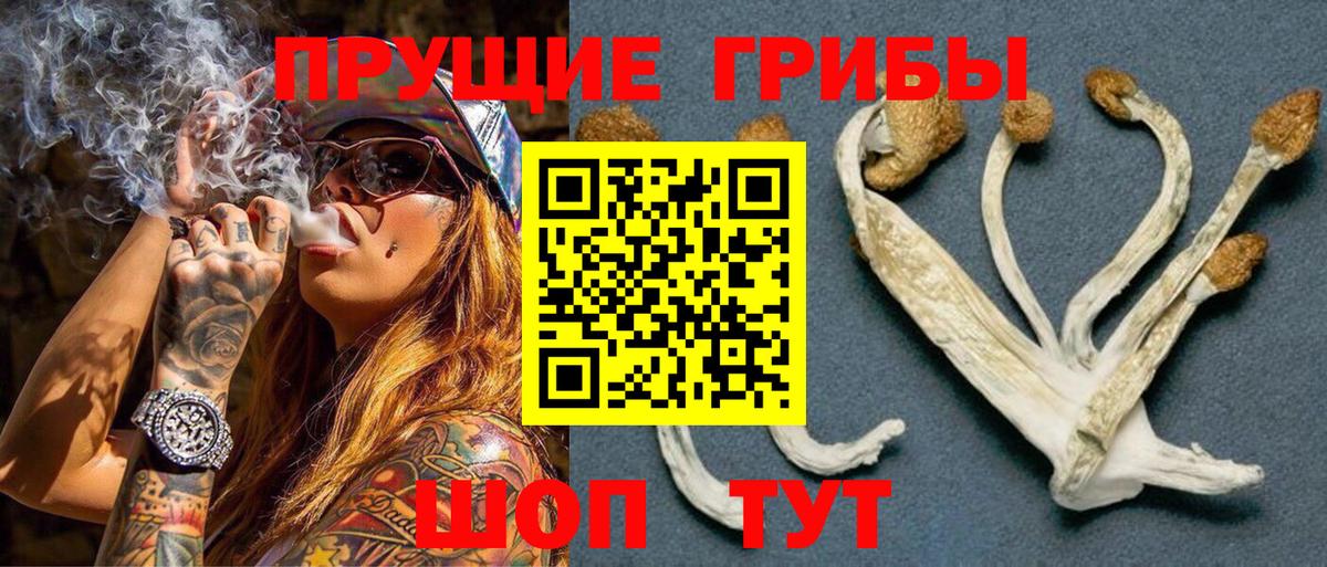 Конаково  Галлюциногенные грибы Magic Shrooms  Вход с VPN  Псилоцибиновые грибы MAGIC MUSHROOMS 